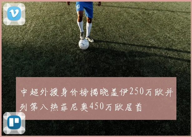 中超外援身价榜揭晓盖伊250万欧并列第八热菲尼奥450万欧居首