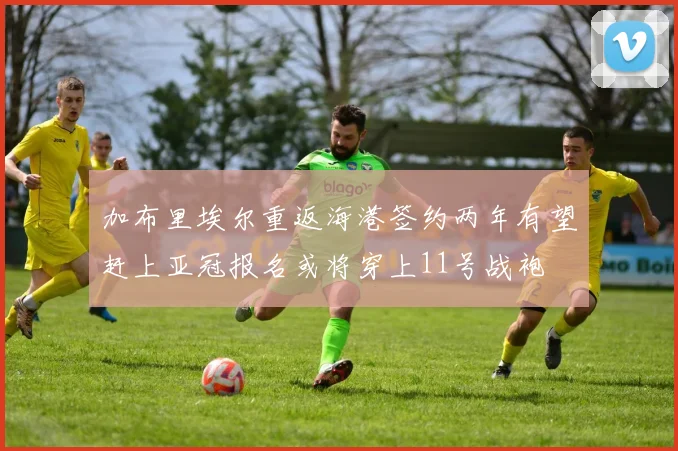 加布里埃尔重返海港签约两年有望赶上亚冠报名或将穿上11号战袍