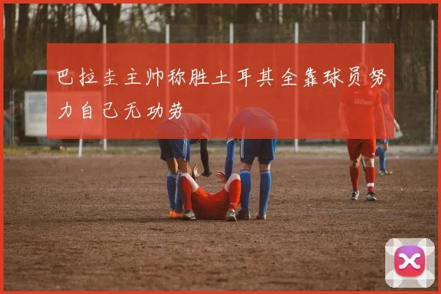 巴拉圭主帅称胜土耳其全靠球员努力自己无功劳